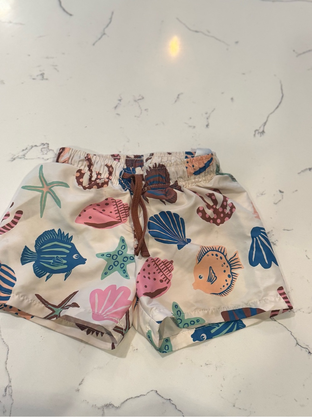 H&M Kids Beach Swim Trunks with Colorful Sea Life Print